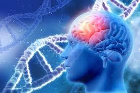 Northeast Atlanta - Outpatient ONLY Neurology - Equity Opportunity