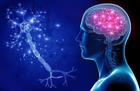 Outpatient Neurology | San Diego, CA | Academic/Teaching Position