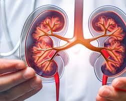 Ohio Nephrologist Openings in Well-Connected Communities – H-1B eligible