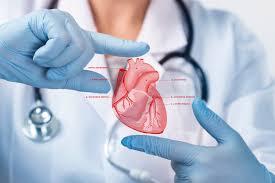 Physician - Non-Invasive Cardiologist