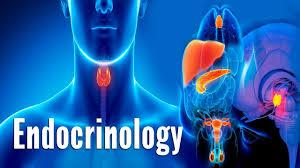 100% Outpatient Endocrinology & Flexible Schedule In New Jersey