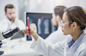 Director of Malignant Hematology Program