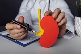 Nephrologist