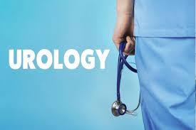 Division Chief of Urology - Prisma Health - Columbia, SC