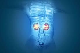 Urology Physician