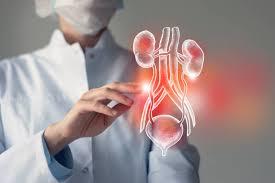 Kidney Surgical Director | Metro TN | Busy Transplant Program