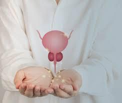 Pediatric Urologist