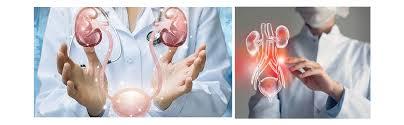 Physician - Urology (Per Diem) - Jefferson Bucks, Torresdale, Frankford Hospitals - Jefferson Health
