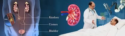 Busy Urology | East of Houston, TX | $1.2 Million+ | Recent Graduates Welcome