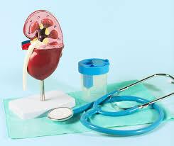 Urologist