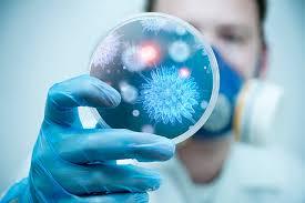 Infectious Disease Physician