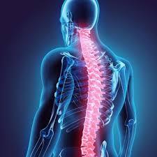 Interventional Spine Physiatrist