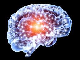 Neuropsychiatry