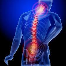 Neurologist - Pain