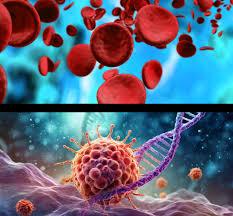 Medical Oncologist