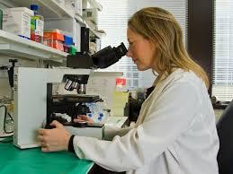 Experienced Hematologist - Faculty Medicine - Jacksonville, FL