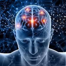 Neurologist - Optum NY