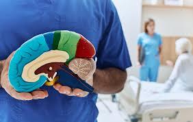 Cognitive Neurologist